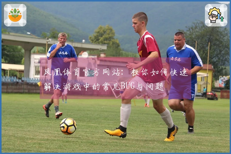 凤凰体育官方网站：教你如何快速解决游戏中的常见BUG与问题