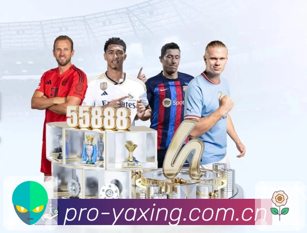 亚星官网平台展示图